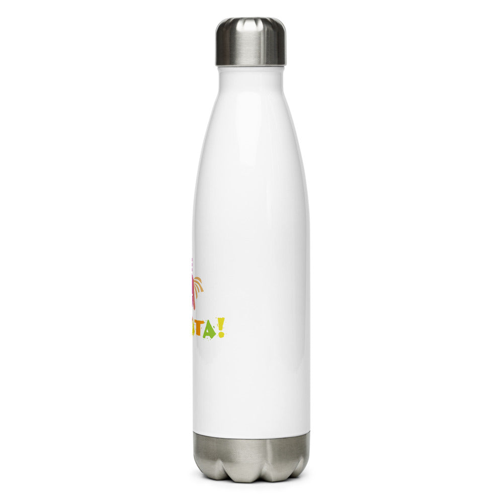 Stainless Steel Water Bottle